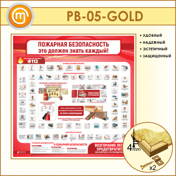 Стенд «Пожарная безопасность. Это должен знать каждый» (PB-05-GOLD)